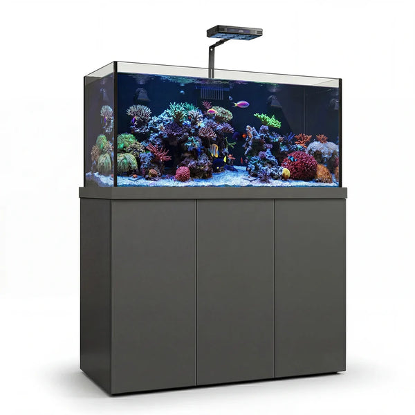 Coral Reef Aquariums