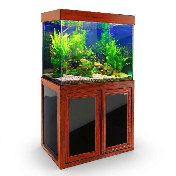 50 Gallons FIsh Tank
