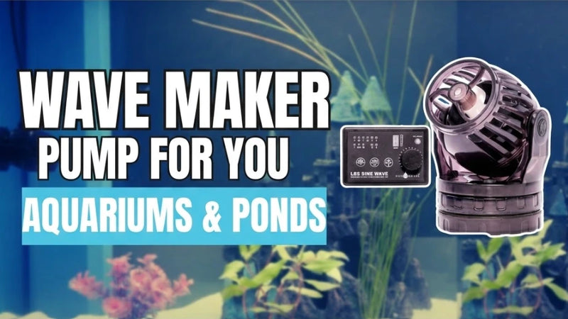 Wavemaker Water Pump